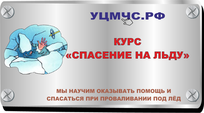 Спасайте дорогие