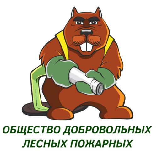 2021 Логотип Добровольные лесные пожарные